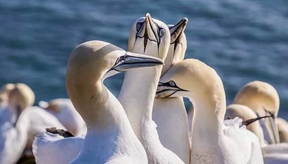 kaiyun体育-前国足主帅李铁被判20年，涉多项罪名，李铁出任国足新帅