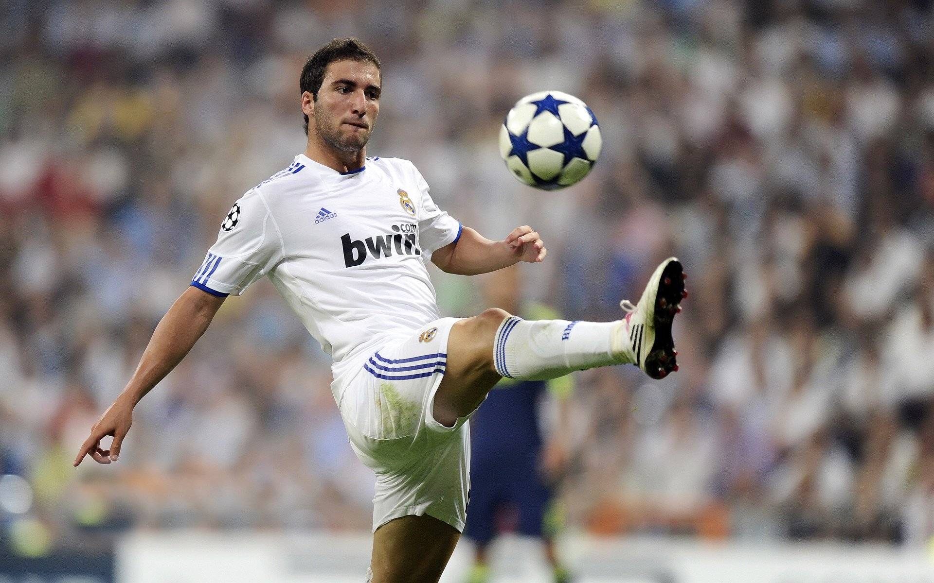 阿尔阿赫利签约新外援，增强进攻实力，阿赫拉尔