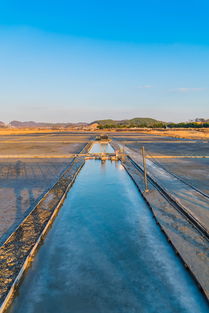 kaiyun体育-生态+赛事，兴隆湖引领水上马拉松潮流，兴隆湖有水了吗