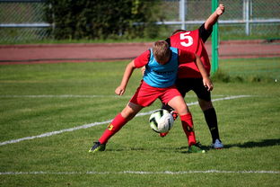 开云体育APP下载-足球俱乐部建设标准发布 加强青训基地建设，足球俱乐部青训招生