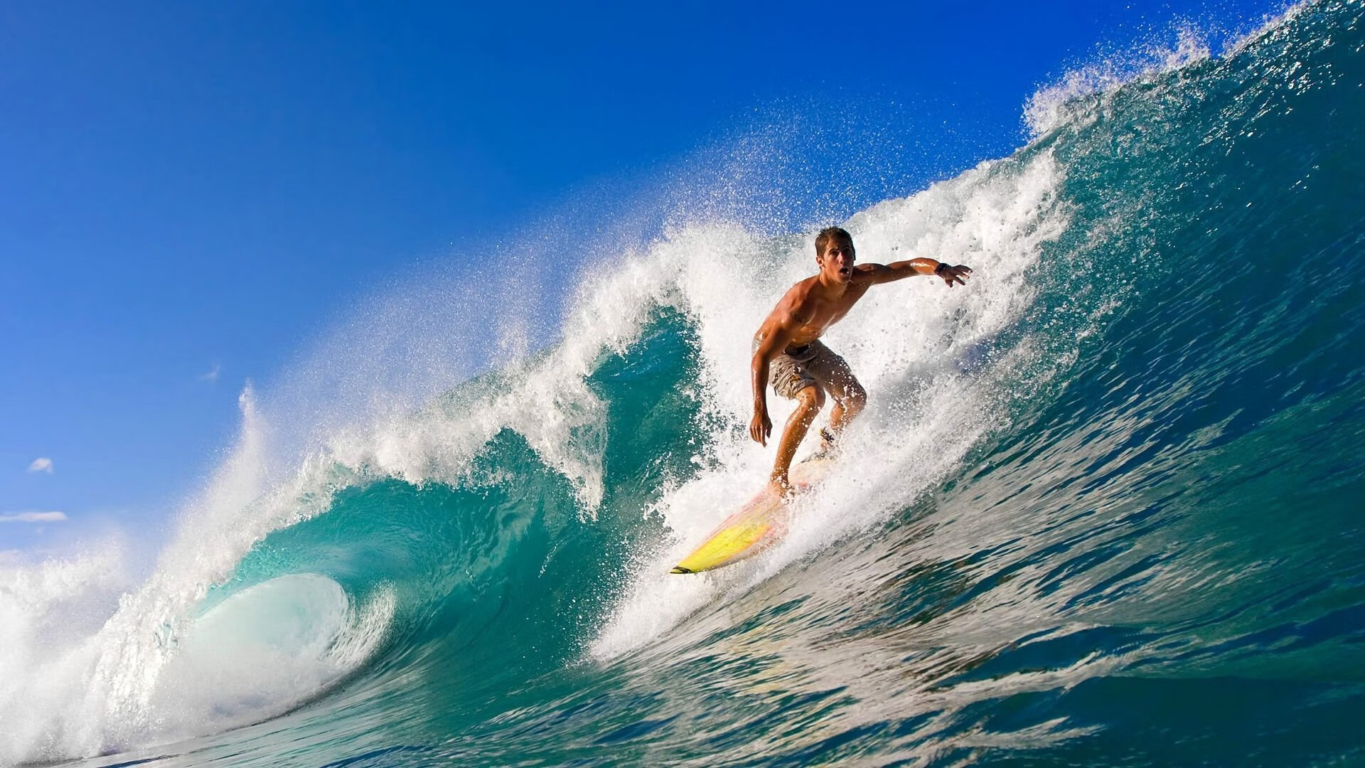 开云体育网址-全民橄榄球日激发社会热情，橄榄球全明星僵尸